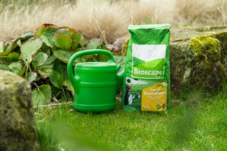 Natur-Rasendünger - 100 % Bio & plastikfrei